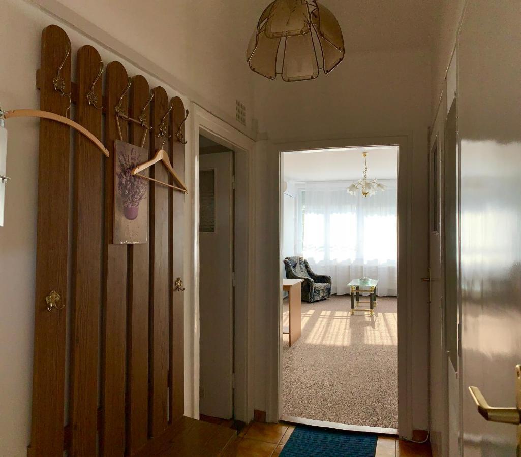 Cozy Apartment In The City Centre Next To Dom Square Szeged Buitenkant foto